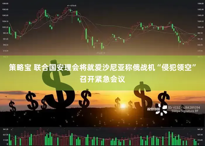 策略宝 联合国安理会将就爱沙尼亚称俄战机“侵犯领空”召开紧急会议