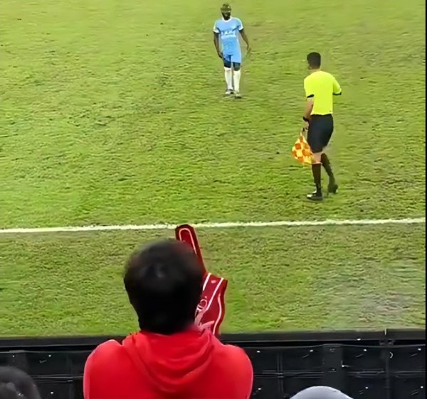 逸富盈策略 开始自救？媒体人：成都蓉城准备和极端球迷切割，走关系减轻足协处罚